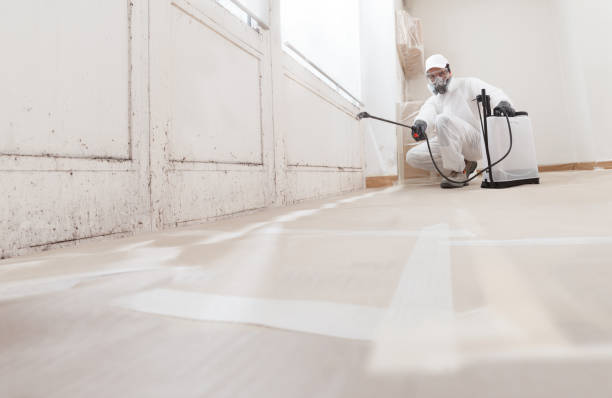 24/7 Emergency Mold Remediation experts in Morristown, NJ
